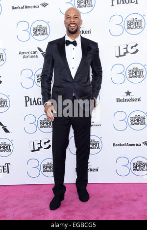 Santa Monica, Kalifornien, USA. 21. Februar 2015. Häufig kommt für 2015 Film Independent Spirit Awards am Strand. Bildnachweis: Lisa O'Connor/ZUMA Draht/Alamy Live-Nachrichten Stockfoto