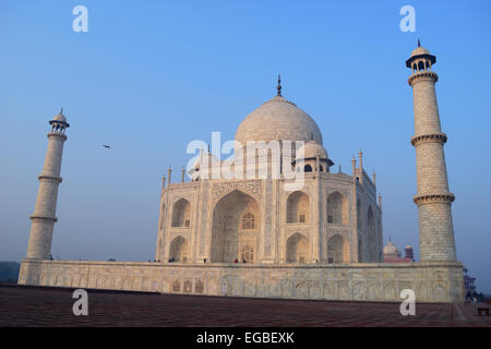 Morgen Blick auf Taj Mahal Indien Stockfoto