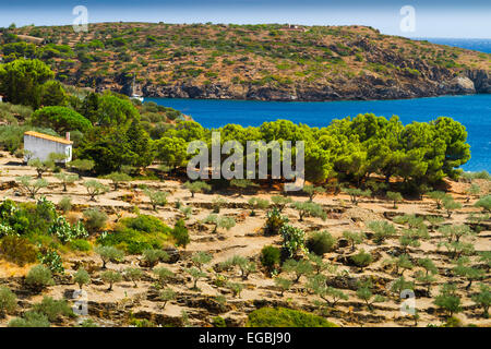 Naturpark von Cap de Creus. Costa Brava, Girona. Katalonien, Spanien, Europa. Stockfoto