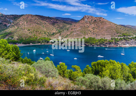 Cala Montjoi. Rosen. Costa Brava, Gerona. Katalonien, Spanien, Europa Stockfoto