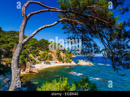 Crit Bucht. Cap Roig, Mont-Ras Dorf, Girona, Costa Brava, Katalonien, Spanien, Europa Stockfoto