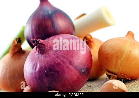 Zwiebel, Knoblauch und Lauch isoliert auf weißem Hintergrund Stockfoto