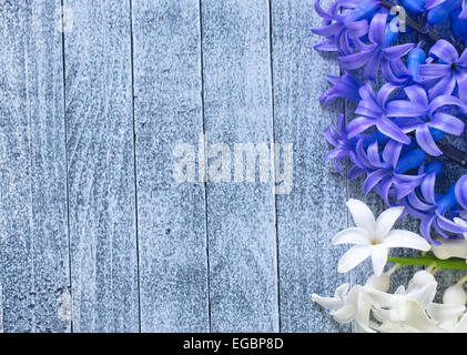 Blumen Stockfoto