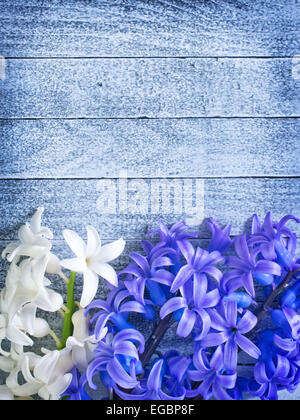 Blumen Stockfoto
