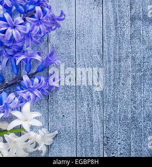 Blumen Stockfoto