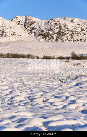 Cairnsmore der Flotte und Clints Dromore im Winterschnee, in der Nähe von Gatehouse of Fleet, Dumfries & Galloway, Schottland Stockfoto