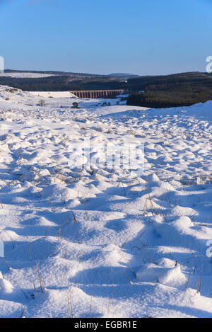 Große Wasser der Flotte-Viadukt im Winterschnee, in der Nähe von Gatehouse of Fleet, Dumfries & Galloway, Schottland Stockfoto