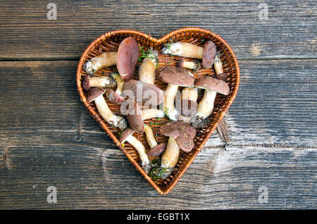 Pilze Pilze Cep Steinpilzen Xerocomus Badius in Herz-Form-Korb auf alten Holztisch Stockfoto