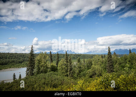 Blick auf Berge von Denali Nationalpark, Alaska, USA, Nordamerika. Stockfoto