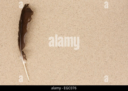 Vogel-Feder liegt Sand, können als Hintergrund mit Platz für Text verwendet werden Stockfoto