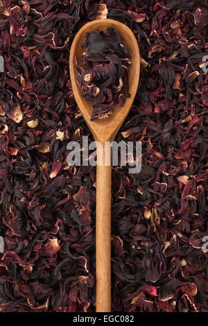 Kochlöffel mit getrockneten Hibiskus liegt auf einem Hintergrund von Hibiskus Stockfoto