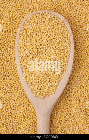 Kochlöffel mit Hirse ist auf eine Reihe von Hirse, kann als Hintergrund verwendet werden Stockfoto