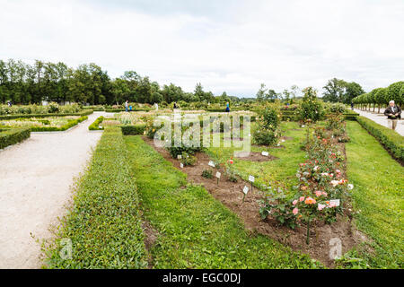 Rosengärten, Rundale Palace Museum und Park, Lettland Stockfoto