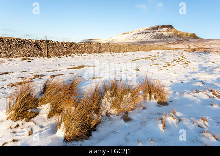 Goldene Stunde über einen Schnee bedeckt Pen-y-Gent in der Yorkshire Dales National Park. Stockfoto