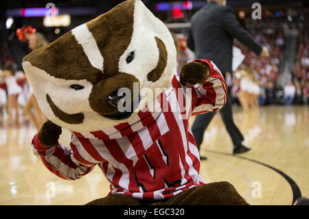 21. Februar 2015: Wisconsin Badgers Maskottchen unterhält das Publikum während der NCAA Basketball-Spiel zwischen den Wisconsin Badgers und Minnesota Golden Gophers am Kohl Center in Madison, Wisconsin. Wisconsin besiegte Minnesota 63-53. John Fisher/CSM Stockfoto