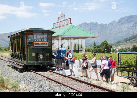 Wein mit der Straßenbahn durch Weinberge in der Franschhoek Valley Western Cape Südafrika Stockfoto