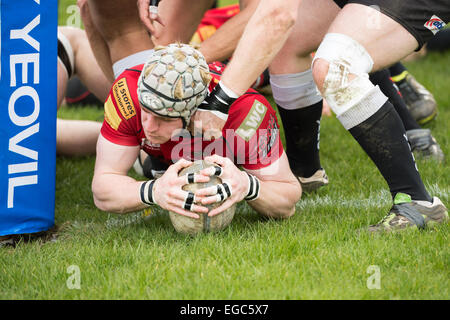 Rugby-Spieler scoring versuchen. Stockfoto