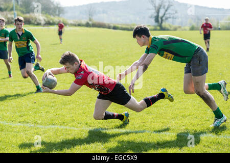 Rugby-Spieler scoring versuchen. Stockfoto