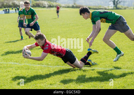 Rugby-Spieler scoring versuchen. Stockfoto