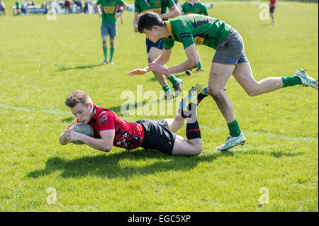 Rugby-Spieler scoring versuchen. Stockfoto