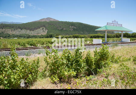 Rickety Bridge Weingut Bahnhof in Franschhoek Valley Südafrika betreibt eine Bahn Straßenbahn hier geben Touristen eine Fahrt Stockfoto