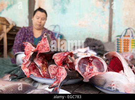 Eine burmesische Frau an ihren Fisch stall, Dorfmarkt, Bagan, Myanmar (Burma), Asien Stockfoto