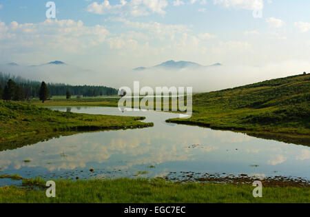 Ein Teich an einem nebligen Morgen in das Hayden Valley, Yellowstone-Nationalpark, Wyoming, Vereinigte Staaten. Stockfoto