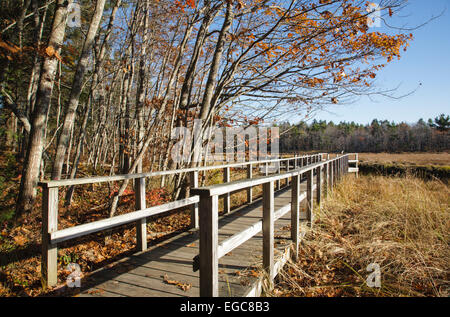 Rachel Carson National Wildlife Refuge in den Herbstmonaten in Wells, Maine, Vereinigte Staaten Stockfoto