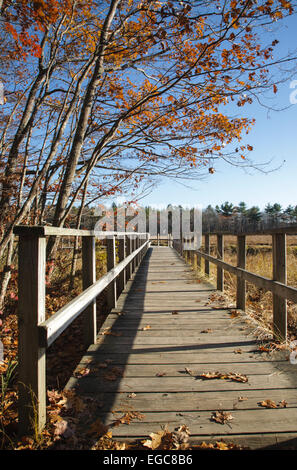 Rachel Carson National Wildlife Refuge in den Herbstmonaten in Wells, Maine, Vereinigte Staaten Stockfoto