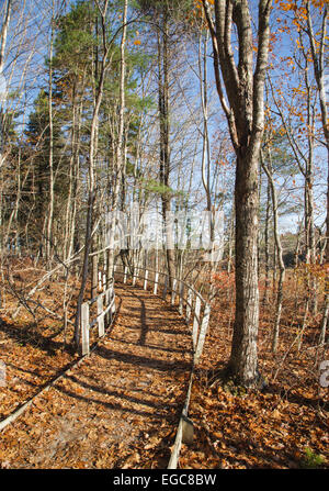 Rachel Carson National Wildlife Refuge in den Herbstmonaten in Wells, Maine, Vereinigte Staaten Stockfoto