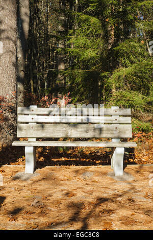 Rachel Carson National Wildlife Refuge in den Herbstmonaten in Wells, Maine, Vereinigte Staaten Stockfoto