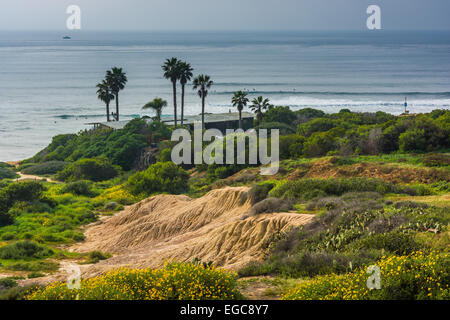 Palmen Sie und Haus auf einer Klippe über dem Pazifischen Ozean, gesehen vom Sunset Cliffs Natural Park in Point Loma, Kalifornien. Stockfoto