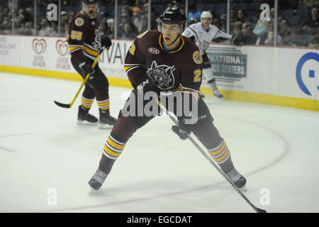 Rosemont, Illinois, USA. 22. Februar 2015. Chicago Wolves Magnus Pääjärvi (23) steuert den Puck in der American Hockey League-Spiel zwischen den Chicago Wolves und die San Antonio Rampage in der Allstate Arena in Rosemont, Illinois. Patrick Gorski/CSM/Alamy Live-Nachrichten Stockfoto