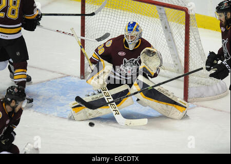 Rosemont, Illinois, USA. 22. Februar 2015. Chicago Wolves Jordan Binnington (30) blockt einen Schuss in der American Hockey League-Spiel zwischen den Chicago Wolves und die San Antonio Rampage in der Allstate Arena in Rosemont, Illinois. Patrick Gorski/CSM/Alamy Live-Nachrichten Stockfoto