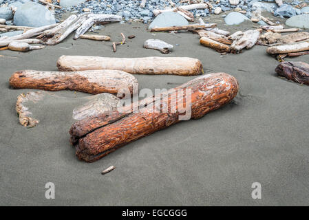 Treibholz auf Hidden Beach. Nord-Kalifornien Küste, USA. Stockfoto