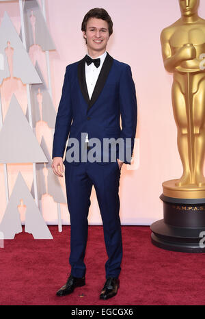 Hollywood, Kalifornien, USA. 22. Februar 2015. Schauspieler ANSEL ELGORT besucht die 87. Oscar-Verleihung in Hollywood & Highland Center in Hollywood. Bildnachweis: Lisa O'Connor/ZUMA Wire/ZUMAPRESS.com/Alamy Live-Nachrichten Stockfoto