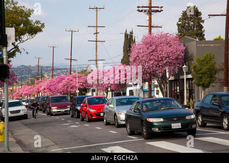 Virgil Ave., in der Nähe von Melrose Ave., Los Angeles, Kalifornien Stockfoto