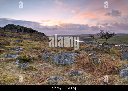 Letzten Licht des Tages auf Tregarrick Tor auf Bodmin Moor, den Sonnenuntergang über dem Horizont Stockfoto