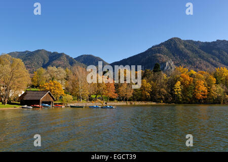Herbst am See Kochel oder Kochelsee See mit Mt Jochberg, Kochel am See, obere Bayern, Bayern, Deutschland Stockfoto