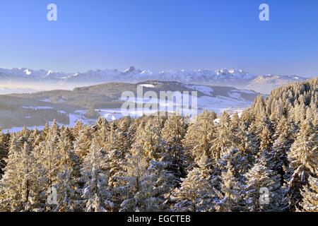 Blick vom Chuderhüsi über verschneite Tannen in der Region Emmental, auf der Rückseite Bereich Stockhorn-Berner Alpen Stockfoto