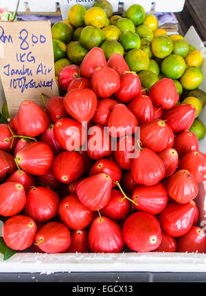 Jambu Luft (Syzygium Samarangense) Kota Sentosa Obstmarkt Kuching Sarawak Borneo Stockfoto