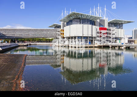 Lissabonner Ozeanarium, das zweitgrößte Ozeanarium in der Welt und der größte in Europa. Lissabon, Portugal. Stockfoto