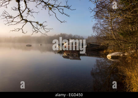 Cherry Island, Fort Augustus, Highland, Schottland, Vereinigtes Königreich Stockfoto