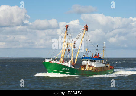 Angeln Trawler auf das Wattenmeer von Urk Rückkehr in den Hafen mit der Küste der Niederlande im Hintergrund Stockfoto