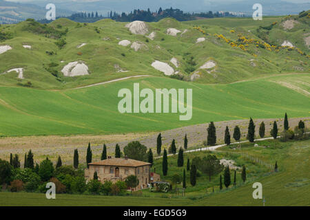 Crete Senesi, typisch toskanischen Landschaft mit Ton-Hügel und Zypressen, Val d ' Orcia, Orcia-Tals, UNESCO-Weltkulturerbe, in der Nähe von Taverne D´Arbia, Provinz Siena, Toskana, Italien, Europa Stockfoto