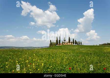 Toskanisches Haus und Zypressen, Val d ' Orcia, Orcia-Tals, UNESCO-Weltkulturerbe in der Nähe von Pienza, Provinz Siena, Toskana, Italien, Europa Stockfoto