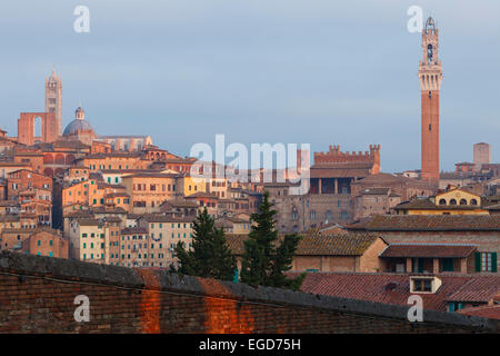 Stadtbild mit Torre del Mangia Turm der das Rathaus und die Kathedrale Duomo Santa Maria, Siena, UNESCO-Weltkulturerbe, Toskana, Italien, Europa Stockfoto