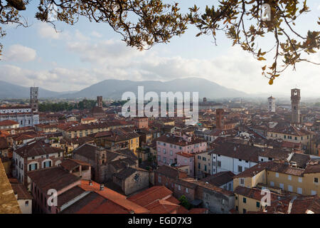 Blick vom Torre Guinigi Turm in Richtung Duomo di San Martino, Kathedrale und die Altstadt von Lucca, UNESCO-Weltkulturerbe, Lucca, Toskana, Italien, Europa Stockfoto