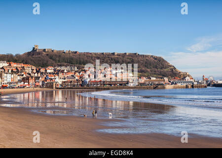 Einem hellen Wintertag in Scarborough, North Yorkshire, England, Vereinigtes Königreich, ein Blick über den Strand zum Schloss, mit Menschen, die Hunden spazieren. Stockfoto