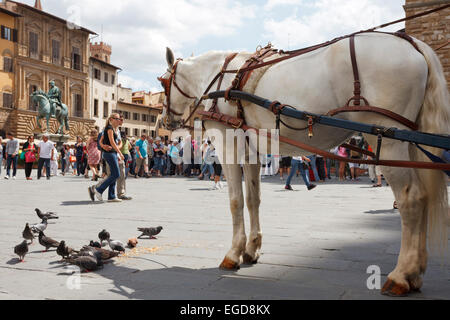 Pferd und Wagen auf der Piazza della Signoria Platz, historischen Zentrum von Florenz, UNESCO-Weltkulturerbe, Firenze, Florenz, Toskana, Italien, Europa Stockfoto